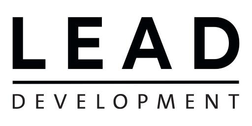 Lead Developer